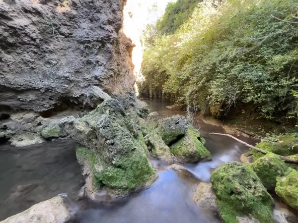 Imagen 4 de Cañete (Cuenca)