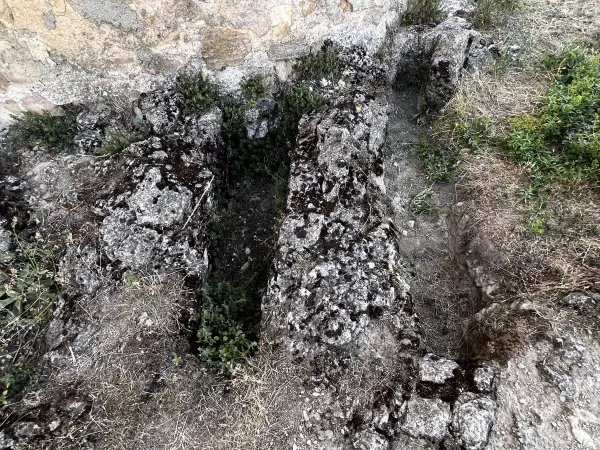 Imagen 12 de Iglesia de la Vera Cruz