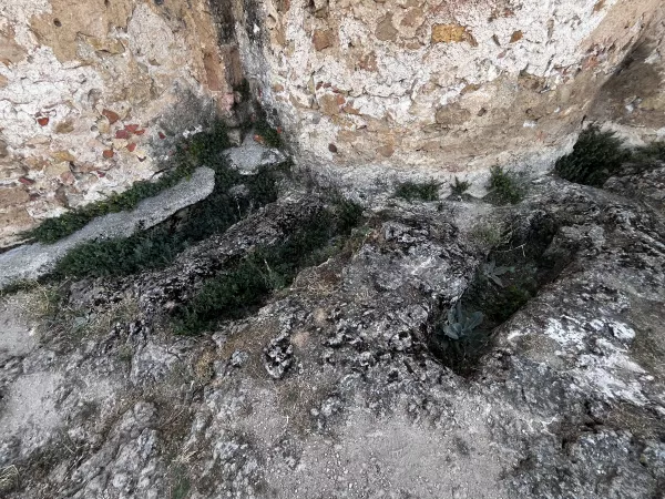 Imagen 19 de Iglesia de la Vera Cruz