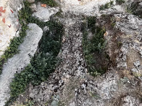 Imagen 31 de Iglesia de la Vera Cruz