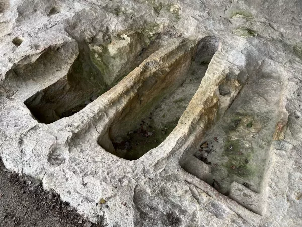 Imagen 6 de Sendero Arcano de ruta por Vitoria