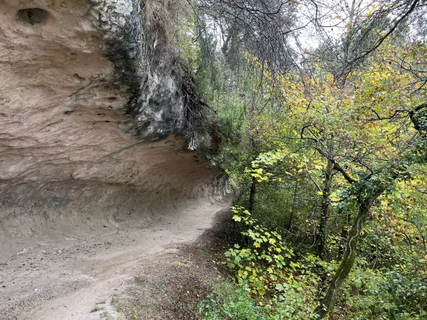 Imagen 7 de Sendero Arcano de ruta por Vitoria