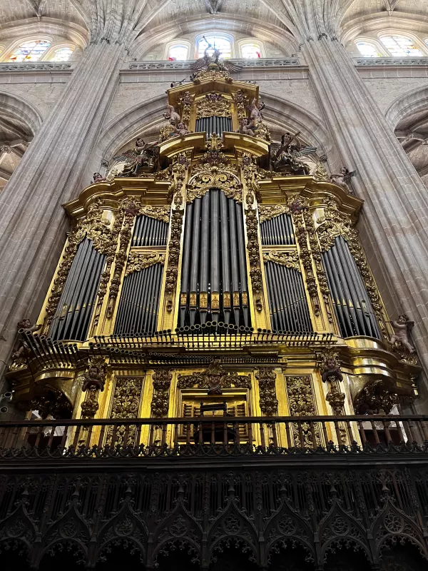 Imagen 21 de Sendero Arcano en Segovia