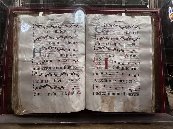 Imagen 46 de Sendero Arcano en Segovia