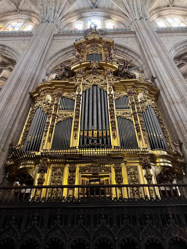 Imagen 68 de Sendero Arcano en Segovia